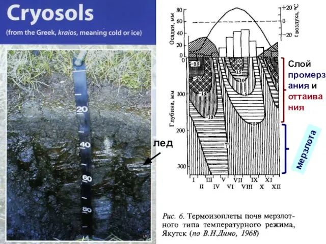 лед мерзлота Слой промерзания и оттаивания