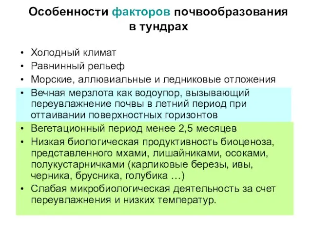 Особенности факторов почвообразования в тундрах Холодный климат Равнинный рельеф Морские, аллювиальные