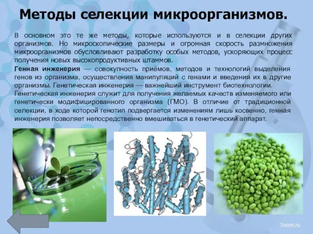 Методы селекции микроорганизмов. В основном это те же методы, которые используются