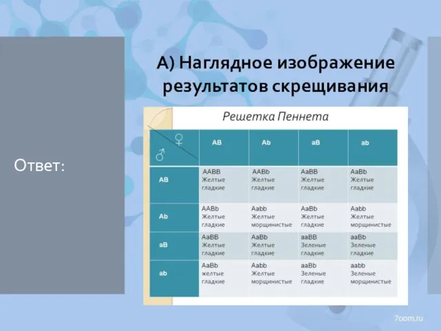 Ответ: А) Наглядное изображение результатов скрещивания