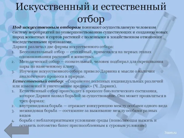 Искусственный и естественный отбор Под искусственным отбором понимают осуществляемую человеком систему