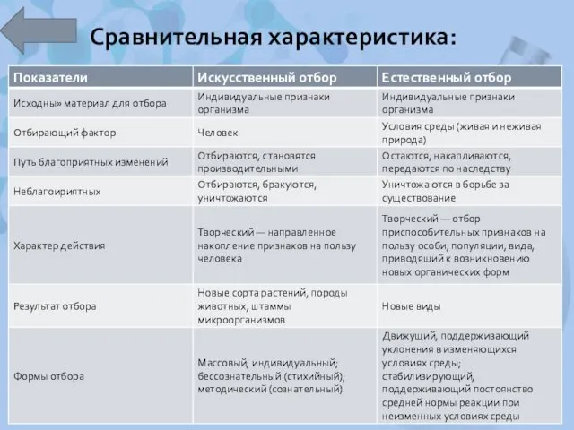 Сравнительная характеристика: