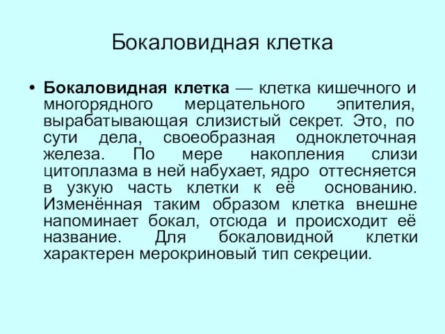 Бокаловидная клетка Бокаловидная клетка — клетка кишечного и многорядного мерцательного эпителия,