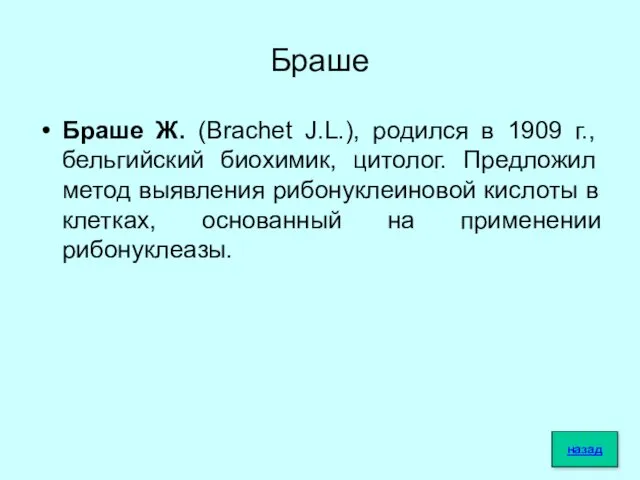 Браше Браше Ж. (Brachet J.L.), родился в 1909 г., бельгийский биохимик,