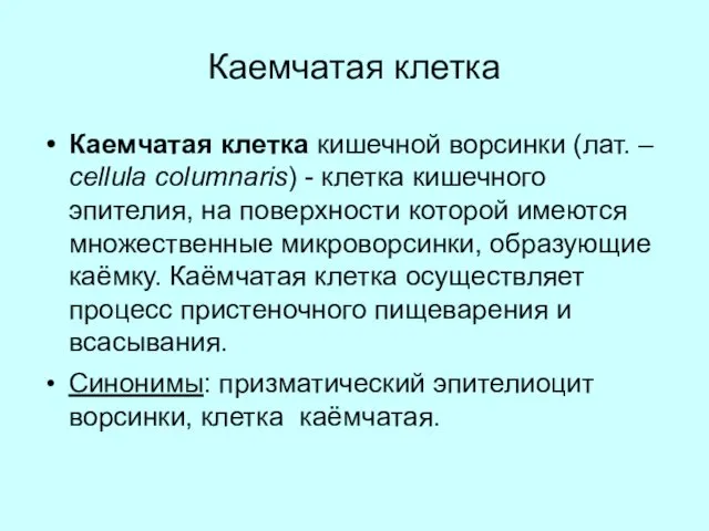 Каемчатая клетка Каемчатая клетка кишечной ворсинки (лат. – cellula columnaris) -