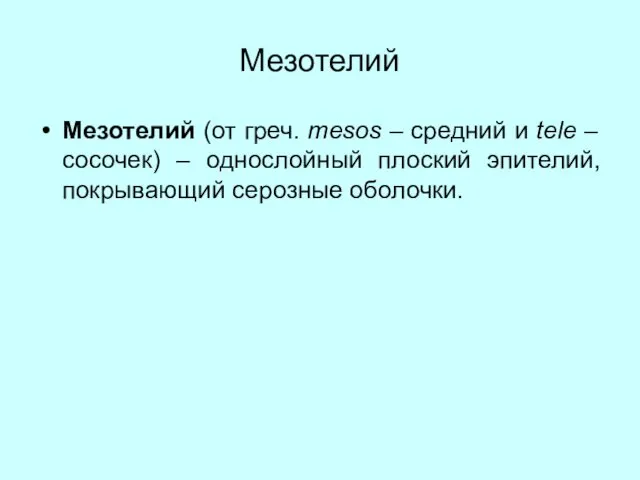 Мезотелий Мезотелий (от греч. mesos – средний и tele – сосочек)