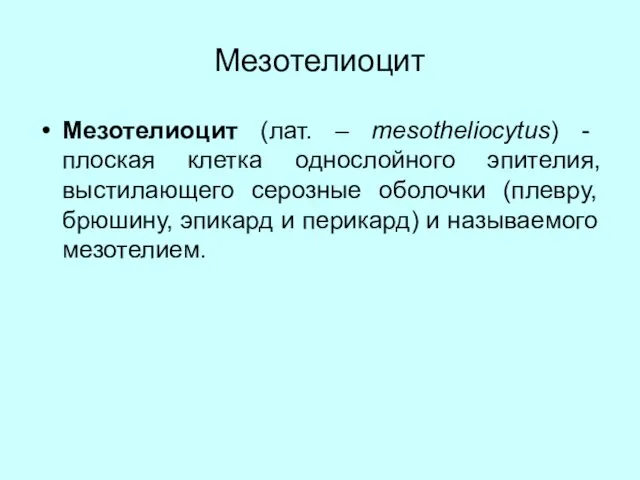 Мезотелиоцит Мезотелиоцит (лат. – mesotheliocytus) - плоская клетка однослойного эпителия, выстилающего