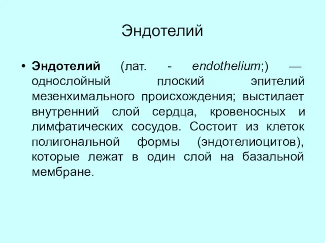 Эндотелий Эндотелий (лат. - endothelium;) — однослойный плоский эпителий мезенхимального происхождения;