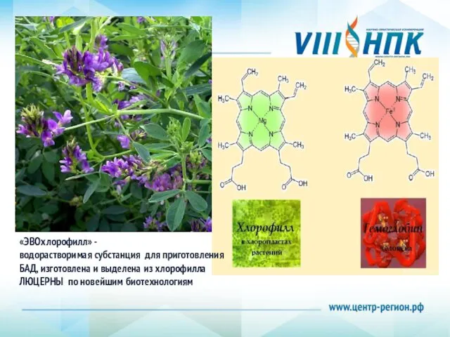 «ЭВОхлорофилл» - водорастворимая субстанция для приготовления БАД, изготовлена и выделена из хлорофилла ЛЮЦЕРНЫ по новейшим биотехнологиям