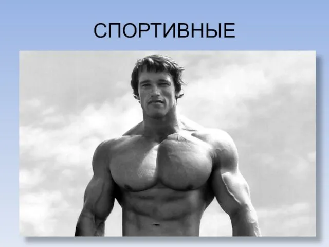 СПОРТИВНЫЕ