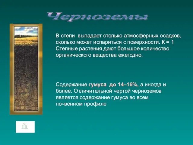 Черноземы В степи выпадает столько атмосферных осадков, сколько может испариться с