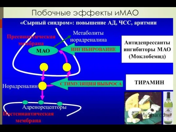 Побочные эффекты иМАО