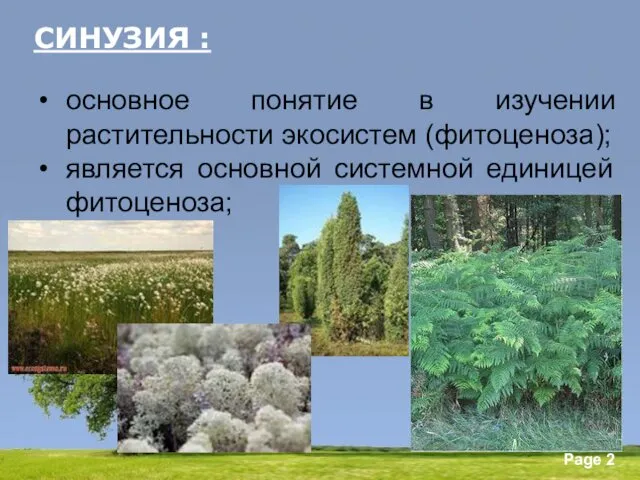 СИНУЗИЯ : основное понятие в изучении растительности экосистем (фитоценоза); является основной системной единицей фитоценоза;
