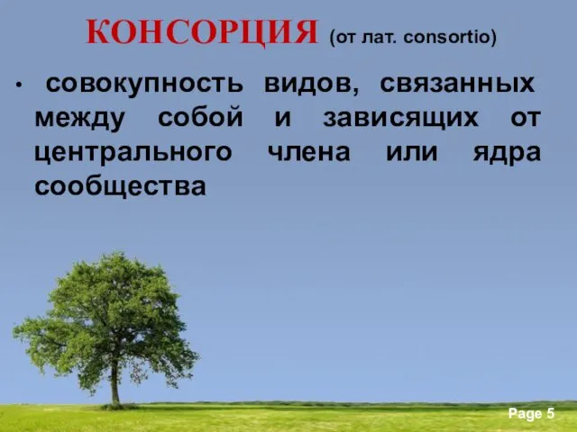 КОНСОРЦИЯ (от лат. consortio) совокупность видов, связанных между собой и зависящих