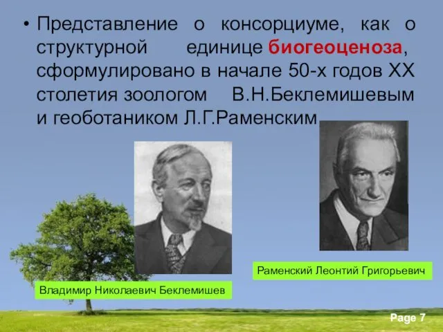 Представление о консорциуме, как о структурной единице биогеоценоза, сформулировано в начале