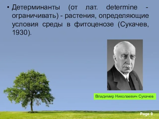 Детерминанты (от лат. determine - ограничивать) - растения, определяющие условия среды