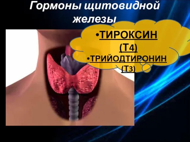 Гормоны щитовидной железы ТИРОКСИН (Т4) ТРИЙОДТИРОНИН (Т3)