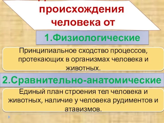 Доказательства происхождения человека от животных 1.Физиологические Принципиальное сходство процессов, протекающих в