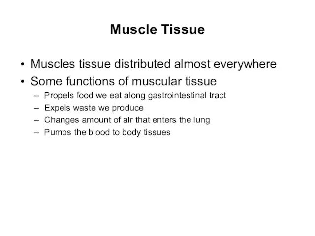 Muscle Tissue Muscles tissue distributed almost everywhere Some functions of muscular