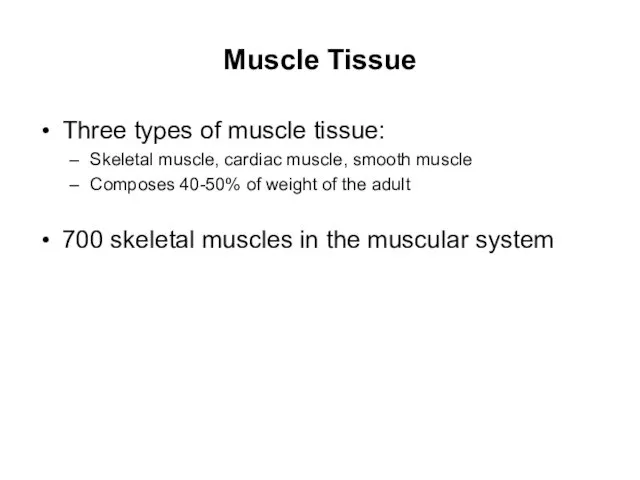 Muscle Tissue Three types of muscle tissue: Skeletal muscle, cardiac muscle,