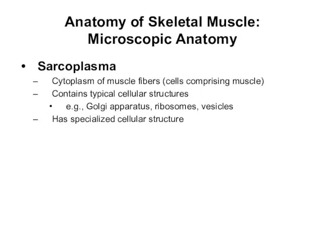 Anatomy of Skeletal Muscle: Microscopic Anatomy Sarcoplasma Cytoplasm of muscle fibers