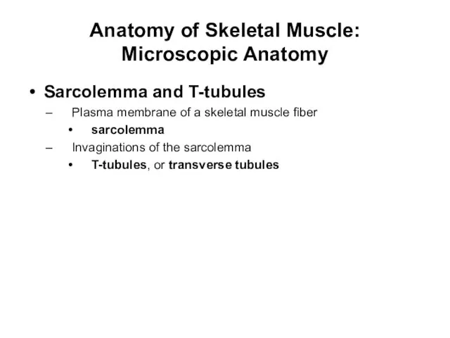 Anatomy of Skeletal Muscle: Microscopic Anatomy Sarcolemma and T-tubules Plasma membrane