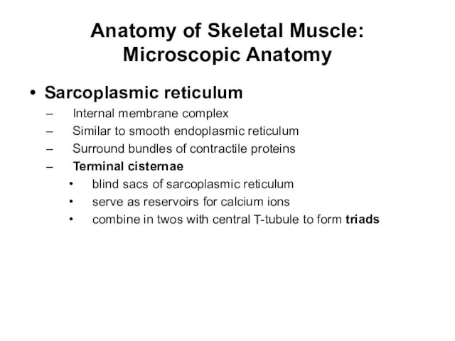 Anatomy of Skeletal Muscle: Microscopic Anatomy Sarcoplasmic reticulum Internal membrane complex