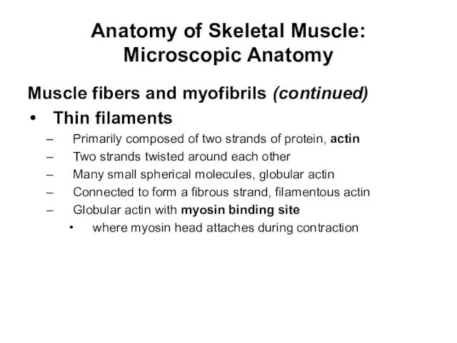 Anatomy of Skeletal Muscle: Microscopic Anatomy Muscle fibers and myofibrils (continued)