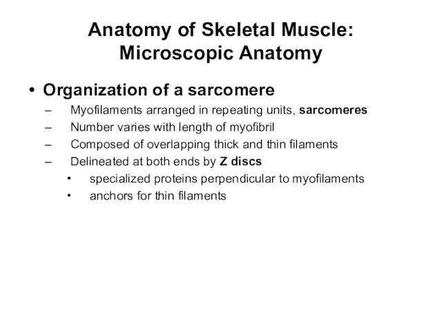 Anatomy of Skeletal Muscle: Microscopic Anatomy Organization of a sarcomere Myofilaments