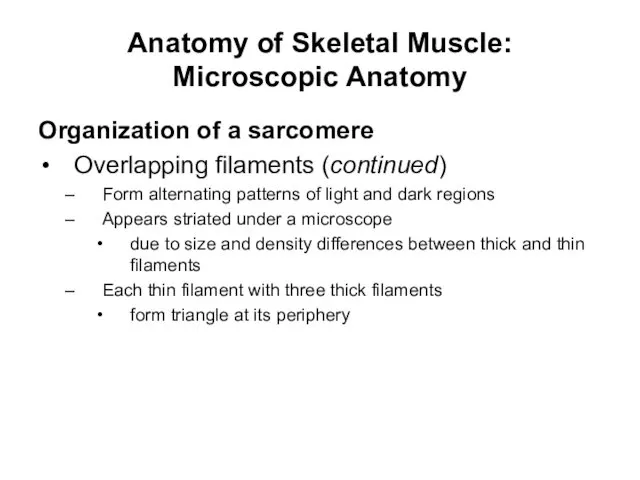 Anatomy of Skeletal Muscle: Microscopic Anatomy Organization of a sarcomere Overlapping
