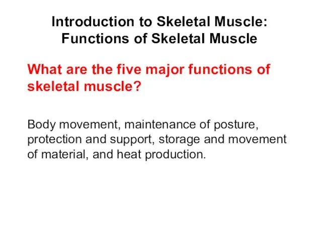 Introduction to Skeletal Muscle: Functions of Skeletal Muscle Body movement, maintenance