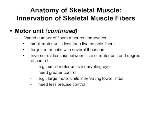 Anatomy of Skeletal Muscle: Innervation of Skeletal Muscle Fibers Motor unit