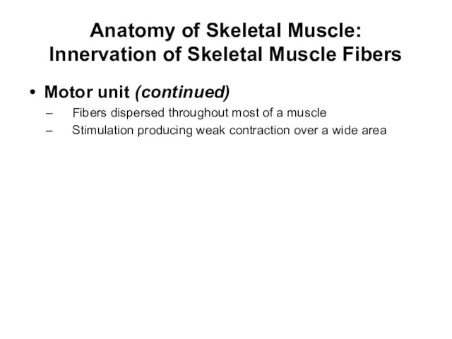 Anatomy of Skeletal Muscle: Innervation of Skeletal Muscle Fibers Motor unit