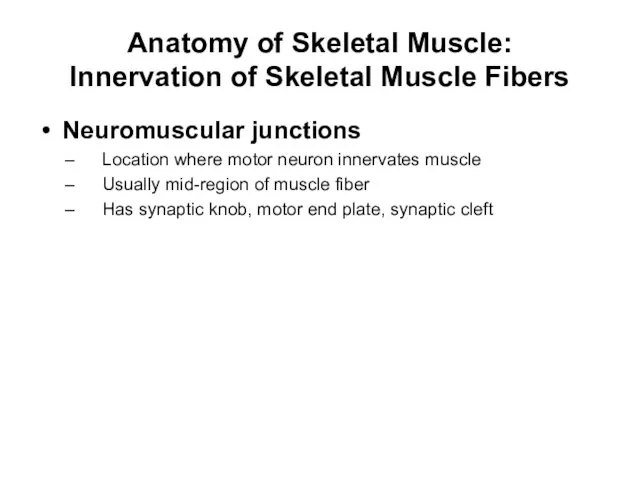 Anatomy of Skeletal Muscle: Innervation of Skeletal Muscle Fibers Neuromuscular junctions