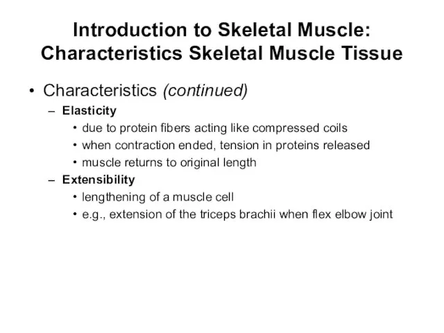 Introduction to Skeletal Muscle: Characteristics Skeletal Muscle Tissue Characteristics (continued) Elasticity