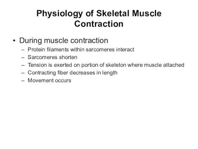 Physiology of Skeletal Muscle Contraction During muscle contraction Protein filaments within