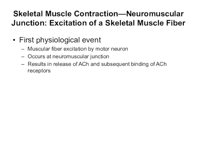 Skeletal Muscle Contraction—Neuromuscular Junction: Excitation of a Skeletal Muscle Fiber First