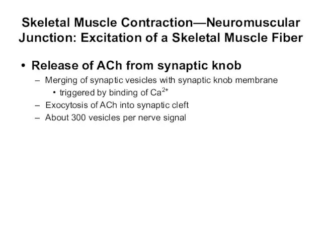 Skeletal Muscle Contraction—Neuromuscular Junction: Excitation of a Skeletal Muscle Fiber Release