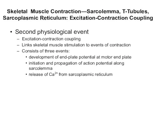 Skeletal Muscle Contraction—Sarcolemma, T-Tubules, Sarcoplasmic Reticulum: Excitation-Contraction Coupling Second physiological event