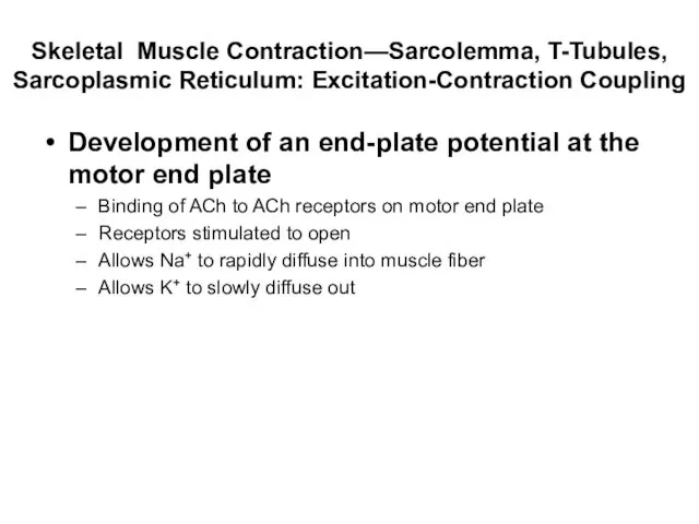 Skeletal Muscle Contraction—Sarcolemma, T-Tubules, Sarcoplasmic Reticulum: Excitation-Contraction Coupling Development of an