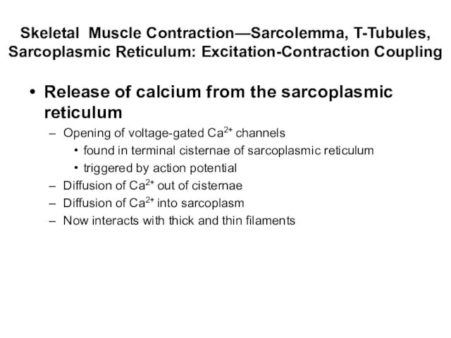 Skeletal Muscle Contraction—Sarcolemma, T-Tubules, Sarcoplasmic Reticulum: Excitation-Contraction Coupling Release of calcium