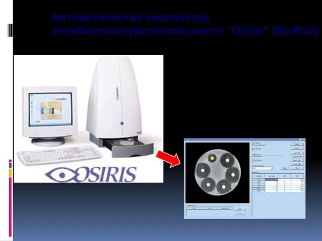 Автоматический анализатор антибиотикочувствительности "Osiris" (BioRad)