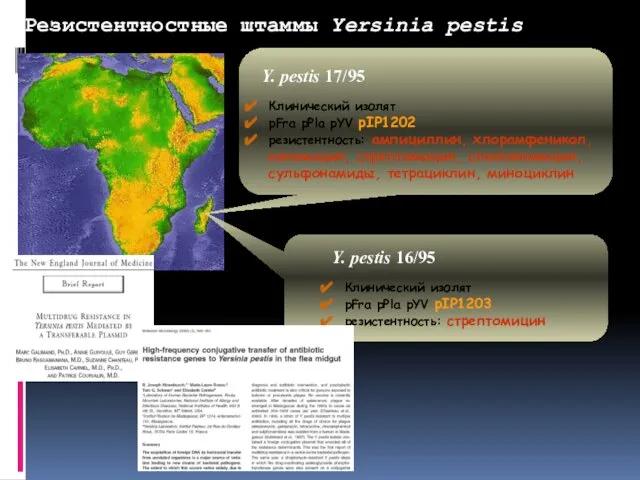 Резистентностные штаммы Yersinia pestis Y. pestis 17/95 Y. pestis 16/95 Клинический