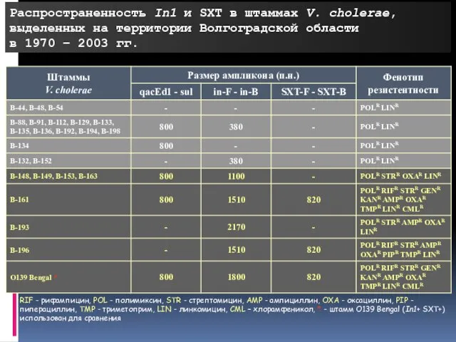 RIF - рифампицин, POL - полимиксин, STR - стрептомицин, AMP -