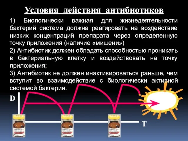 Условия действия антибиотиков 1) Биологически важная для жизнедеятельности бактерий система должна