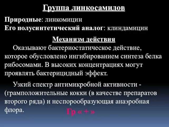 Группа линкосамидов Природные: линкомицин Его полусинтетический аналог: клиндамицин Механизм действия Оказывают