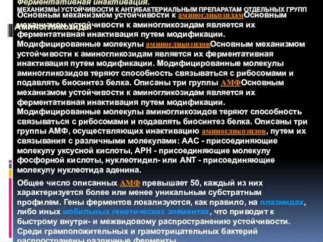 МЕХАНИЗМЫ УСТОЙЧИВОСТИ К АНТИБАКТЕРИАЛЬНЫМ ПРЕПАРАТАМ ОТДЕЛЬНЫХ ГРУПП Аминогликозиды Ферментативная инактивация. Основным