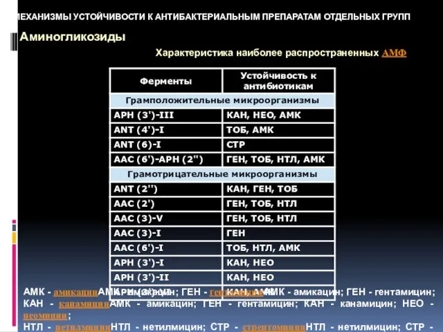 МЕХАНИЗМЫ УСТОЙЧИВОСТИ К АНТИБАКТЕРИАЛЬНЫМ ПРЕПАРАТАМ ОТДЕЛЬНЫХ ГРУПП Аминогликозиды АМК - амикацинАМК