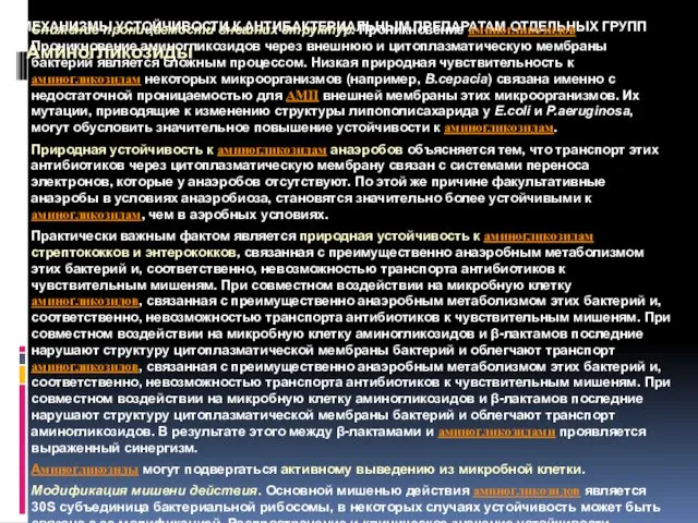 МЕХАНИЗМЫ УСТОЙЧИВОСТИ К АНТИБАКТЕРИАЛЬНЫМ ПРЕПАРАТАМ ОТДЕЛЬНЫХ ГРУПП Аминогликозиды Снижение проницаемости внешних