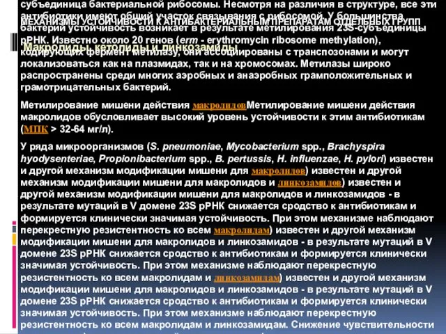 МЕХАНИЗМЫ УСТОЙЧИВОСТИ К АНТИБАКТЕРИАЛЬНЫМ ПРЕПАРАТАМ ОТДЕЛЬНЫХ ГРУПП Макролиды, кетолиды и линкозамиды